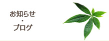 お知らせ・ブログ
